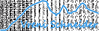 Logo Vreni Schneider Ski-, Snowboard- u. Rennschule Elm aus Elm