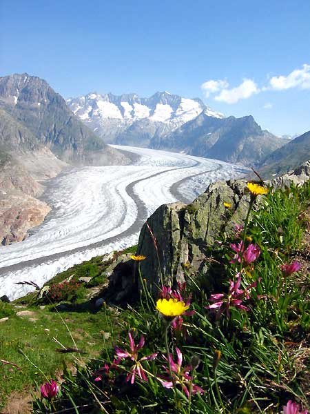 Camping Eggishorn Gletscher